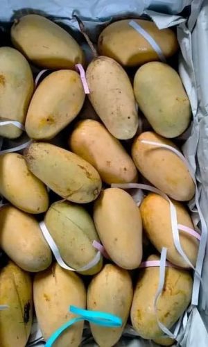 WhatsApp Image 2025-12-23 at 10.41.49 AM (1)