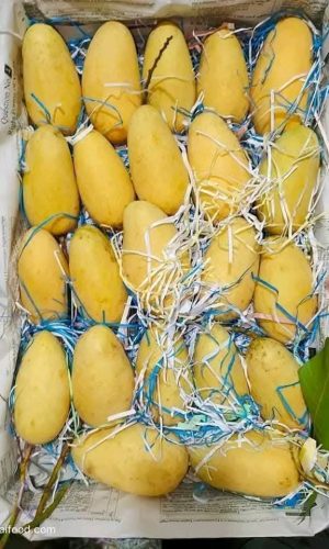 WhatsApp Image 2025-12-23 at 10.41.49 AM